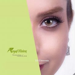 لنز رنگی روزانه رویال ویژن
